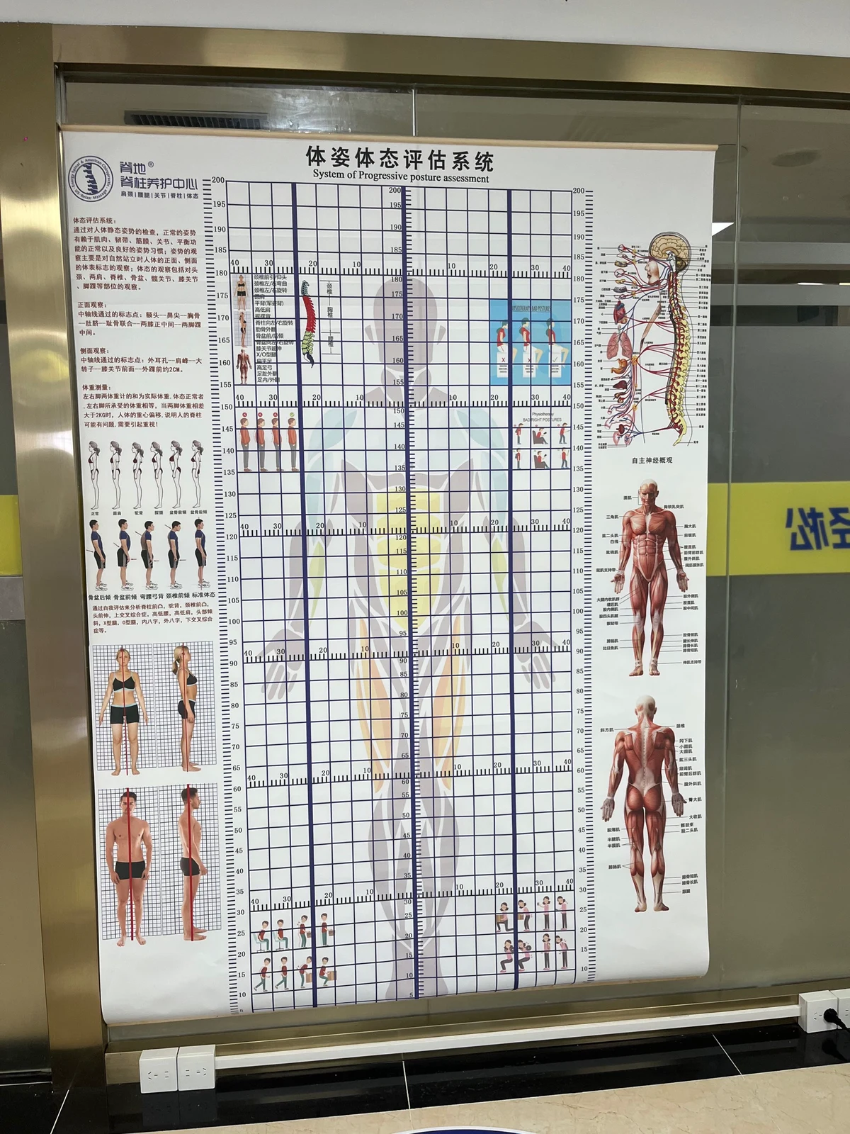哪里可以找到篮球训练的模范案例_1